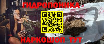 герыч Вышний Волочёк