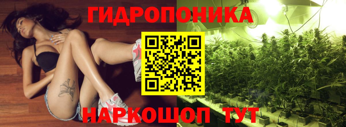 Бошки марихуана ГИДРОПОН Губаха